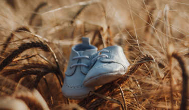 Ohio Bishops Weigh in on Constitutional Proposal